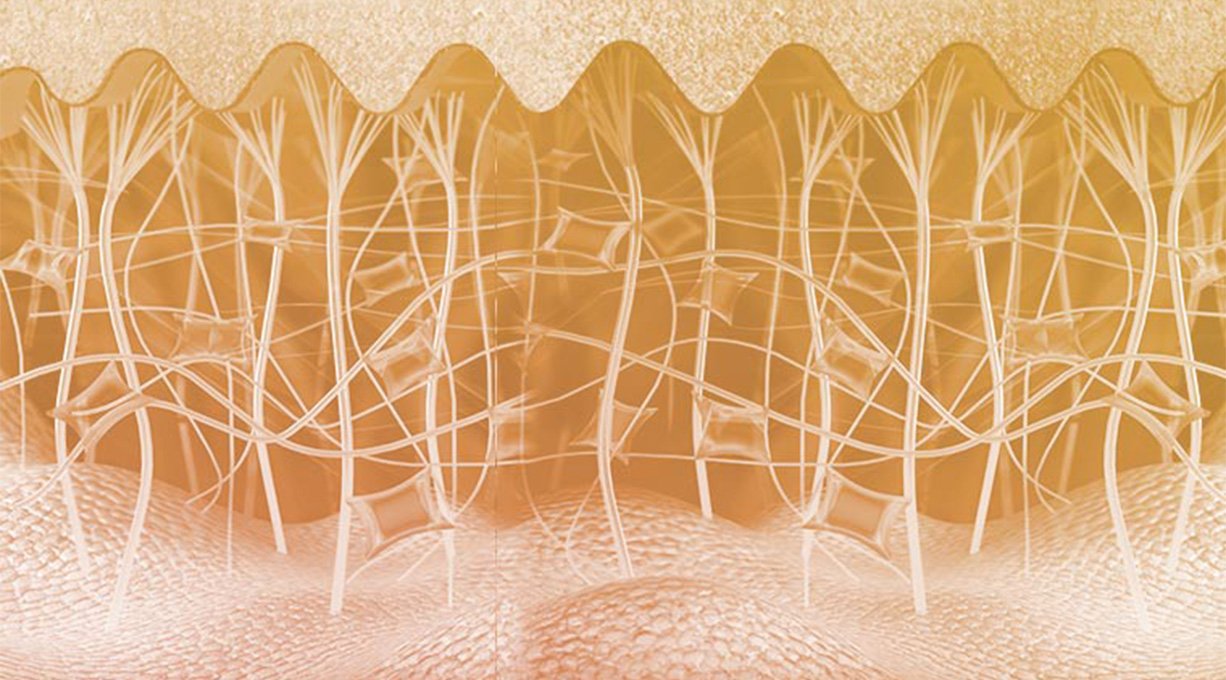 Les effets de la ménopause sur le corps et la peau | VICHY