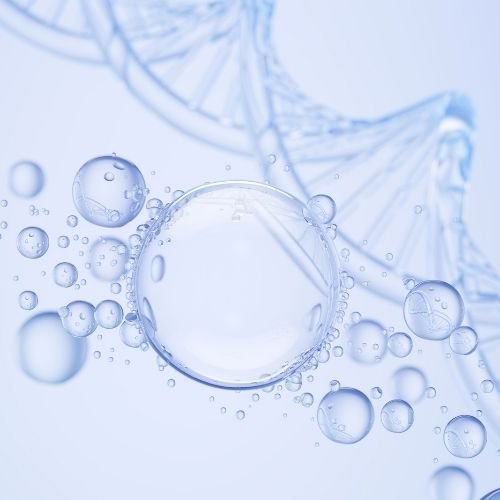 Filoxane