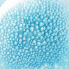 Probiotic Fractions